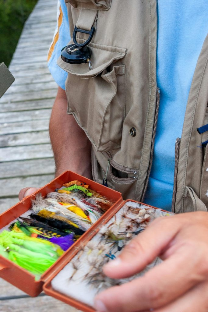 pexels-ian-taylor-2156586581-34453934